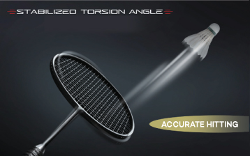 Stabilized Torsion Angle